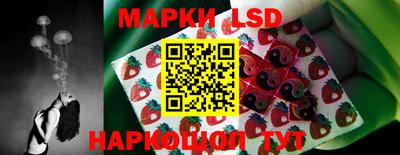 тгк Камышлов