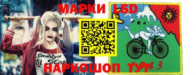 тгк Камышлов