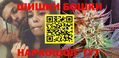 тгк Камышлов