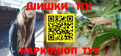 тгк Камышлов